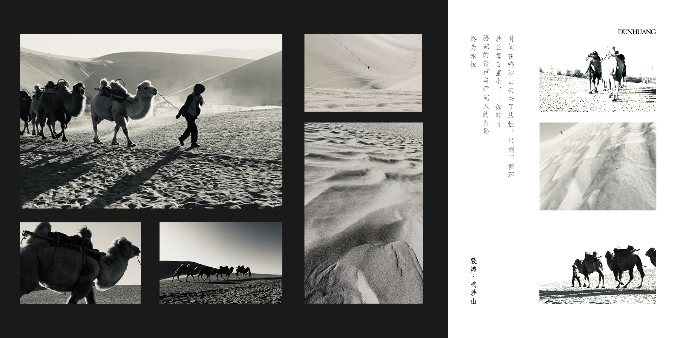 2023级张雨彤 摄影作品《恒驻》.jpg